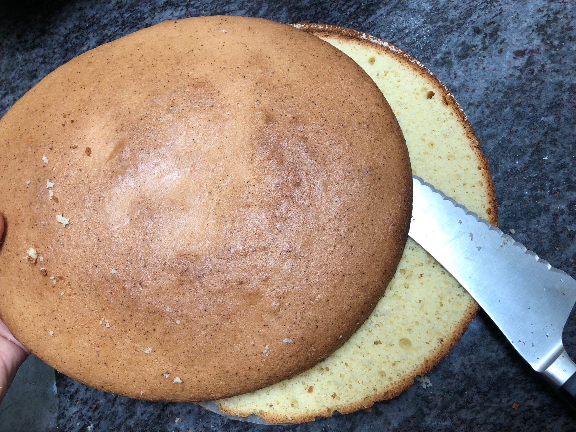 spongecake sliced in half